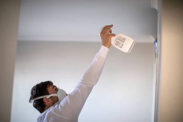 Best Mold Testing  in Sloatsburg, NY