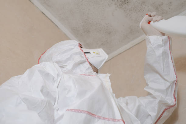 Attic Mold Removal in Sloatsburg, NY